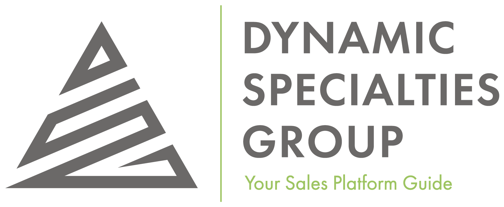 DSG Logo & Tagline